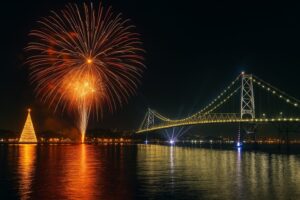 Ilustração Flopi Final de Ano