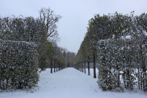 Jardim Rainha Catarina Rússia Bruce