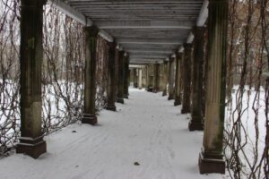 PHOTO-2026-01-26-19-10-59