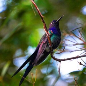 PHOTO-2026-03-06-10-20-27